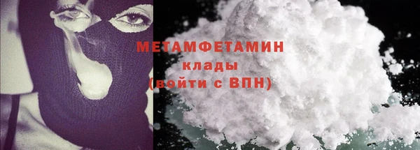 крисы Инта