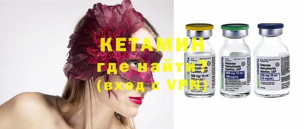 крисы Инта