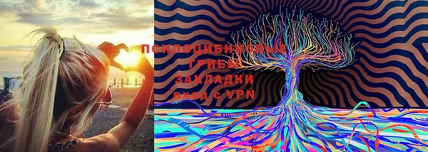 крисы Инта