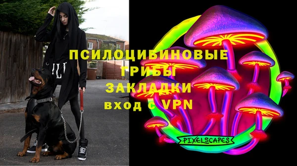 крисы Инта