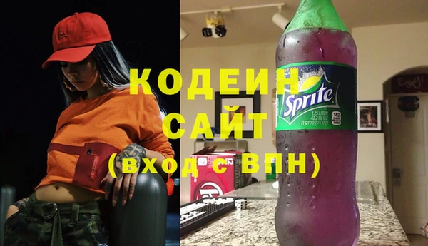 крисы Инта