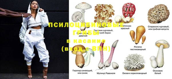 крисы Инта