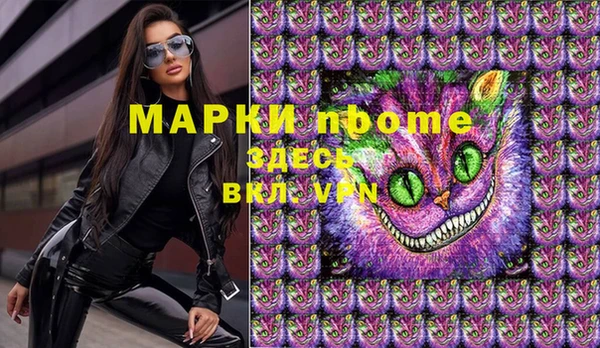 крисы Инта