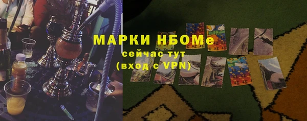 крисы Инта