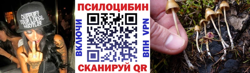 Галлюциногенные грибы Psilocybe даркнет состав Пестово